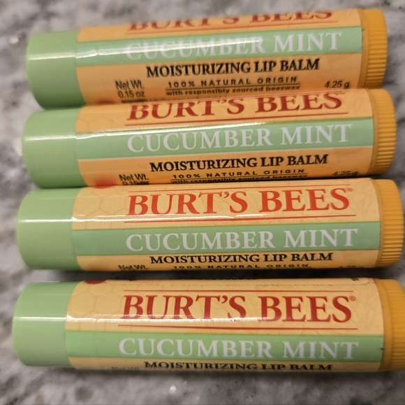 Burt's Bees Cucumber Mint Moisturizing Lip Balm, Set of 4, 0.15 oz each NEW - Picture 1 of 3